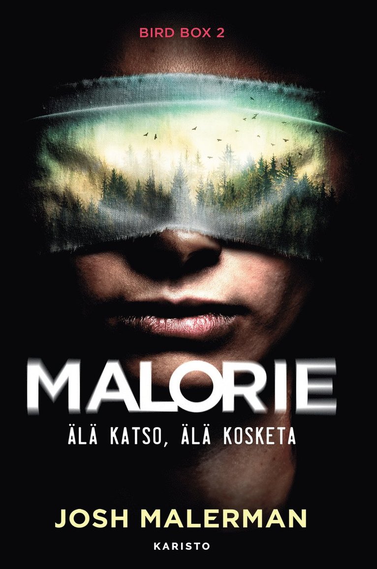 Josh Malerman - Malorie – Älä katso, älä kosketa, E-bok