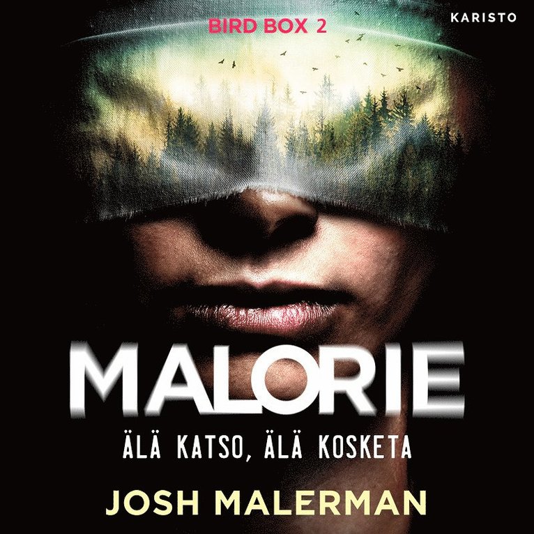 Josh Malerman - Malorie - Älä katso, älä kosketa, Ljudbok