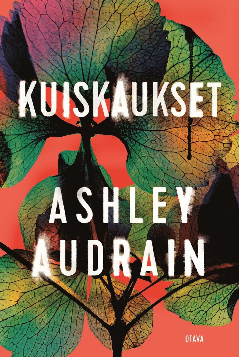Ashley Audrain - Kuiskaukset, E-bok