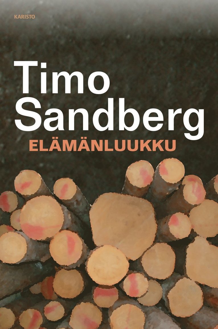 Timo Sandberg - Elämänluukku, E-bok