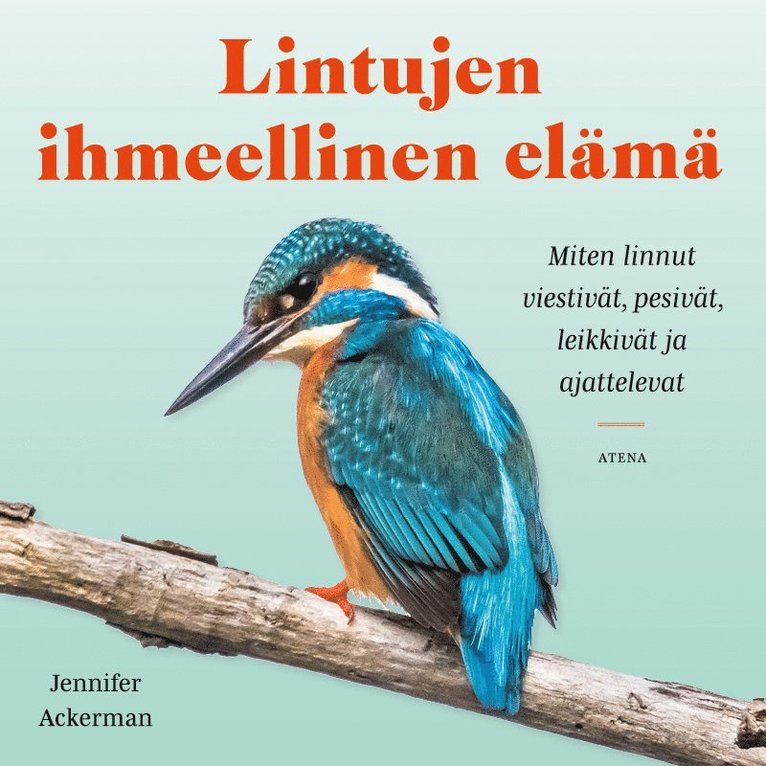 Jennifer Ackerman - Lintujen ihmeellinen elämä, Ljudbok