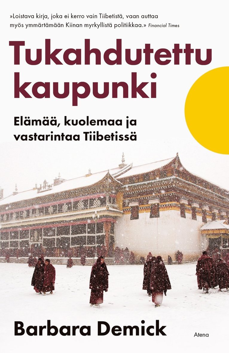 Barbara Demick - Tukahdutettu kaupunki, E-bok