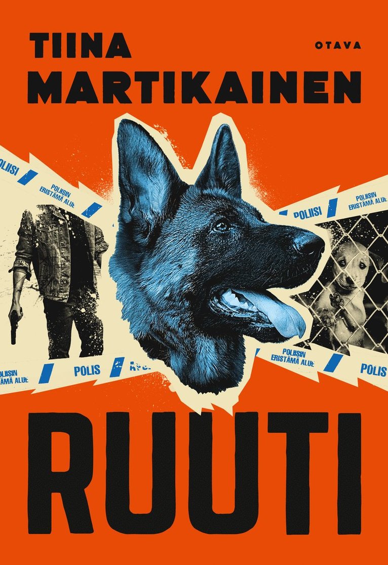 Tiina Martikainen - Ruuti, E-bok