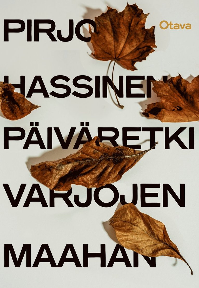 Pirjo Hassinen - Päiväretki varjojen maahan, E-bok