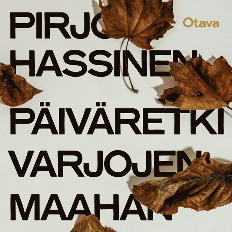 Pirjo Hassinen - Päiväretki varjojen maahan, Ljudbok