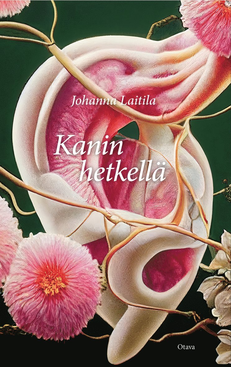 Johanna Laitila - Kanin hetkellä, E-bok