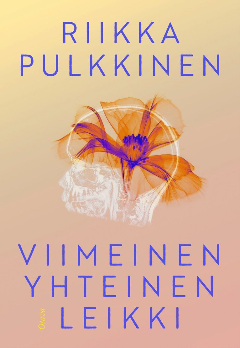 Riikka Pulkkinen - Viimeinen yhteinen leikki, E-bok