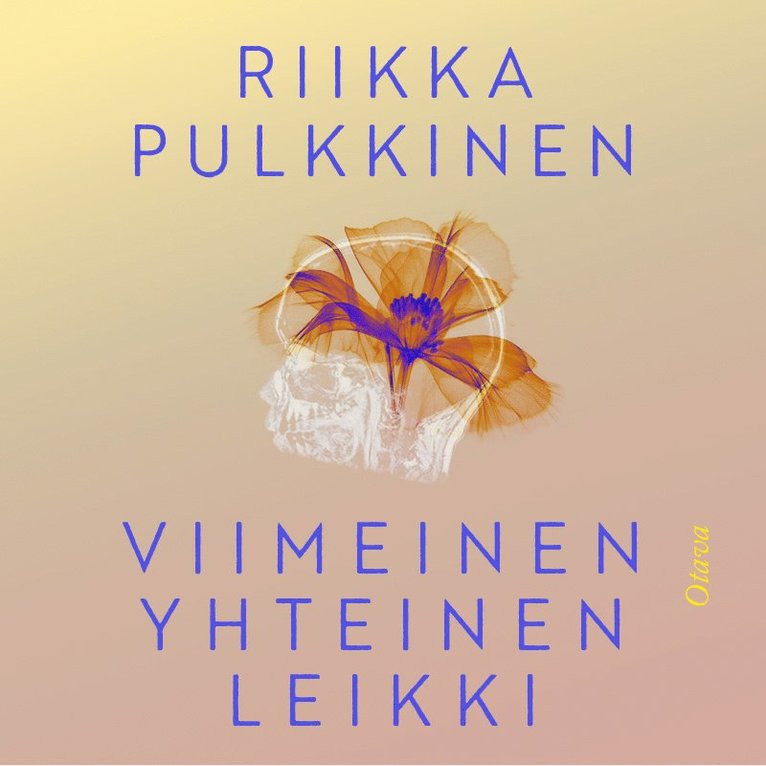 Riikka Pulkkinen - Viimeinen yhteinen leikki, Ljudbok