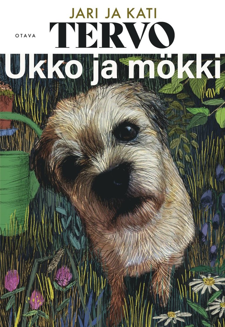 Jari Tervo, Kati Tervo - Ukko ja mökki, E-bok