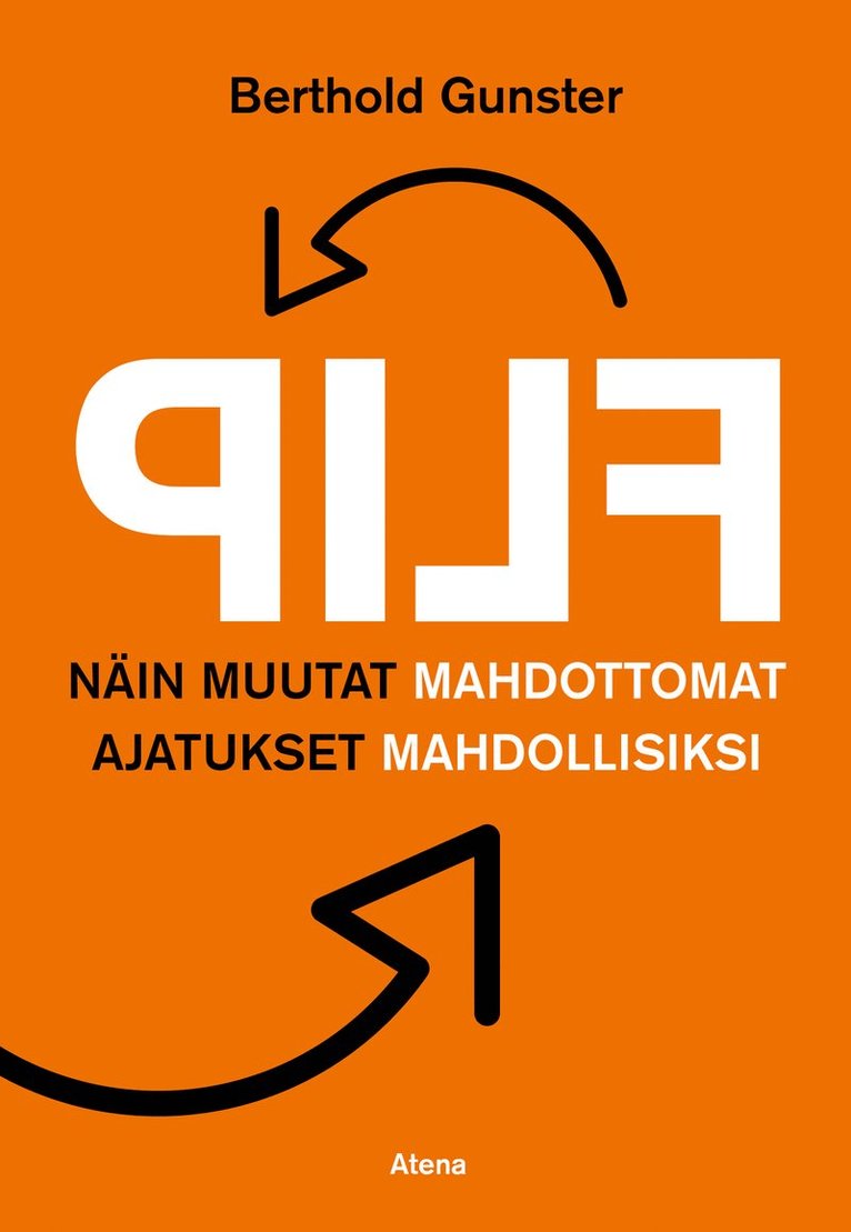 Berthold Gunster - Flip, E-bok