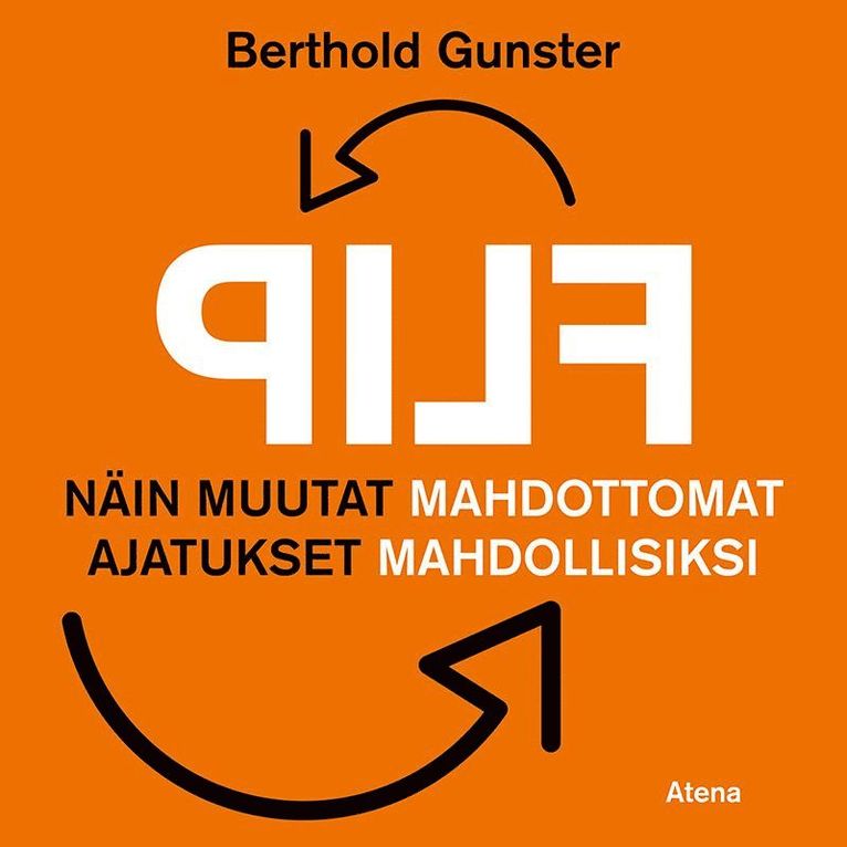 Berthold Gunster - Flip, Ljudbok