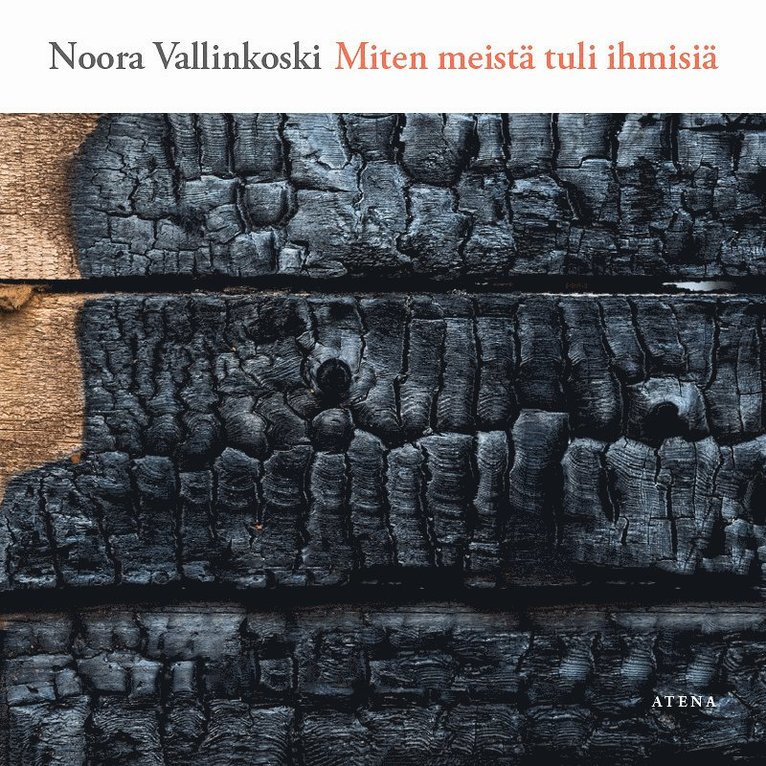 Noora Vallinkoski - Miten meistä tuli ihmisiä, E-bok