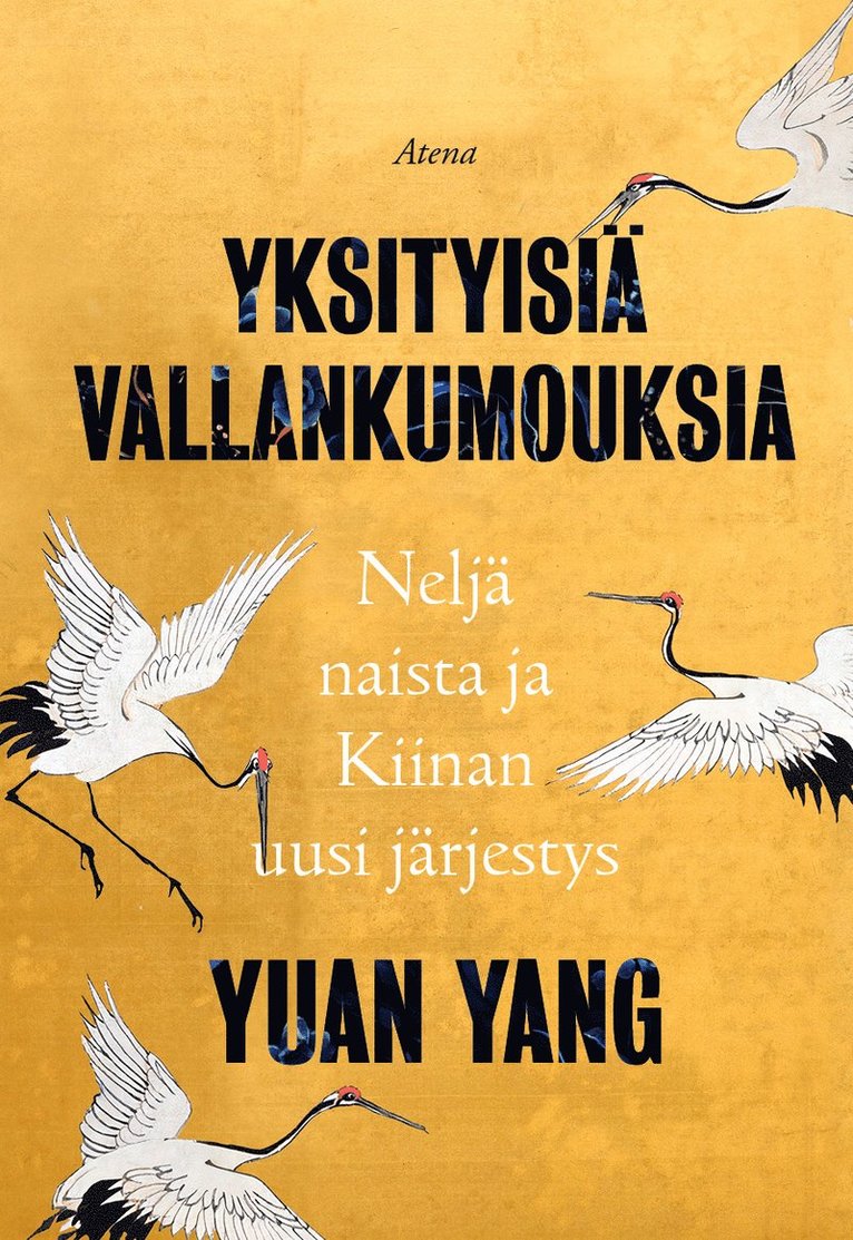 Yuan Yang - Yksityisiä vallankumouksia, E-bok