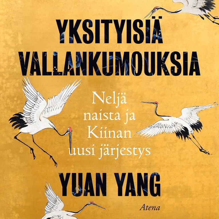 Yuan Yang - Yksityisiä vallankumouksia, Ljudbok