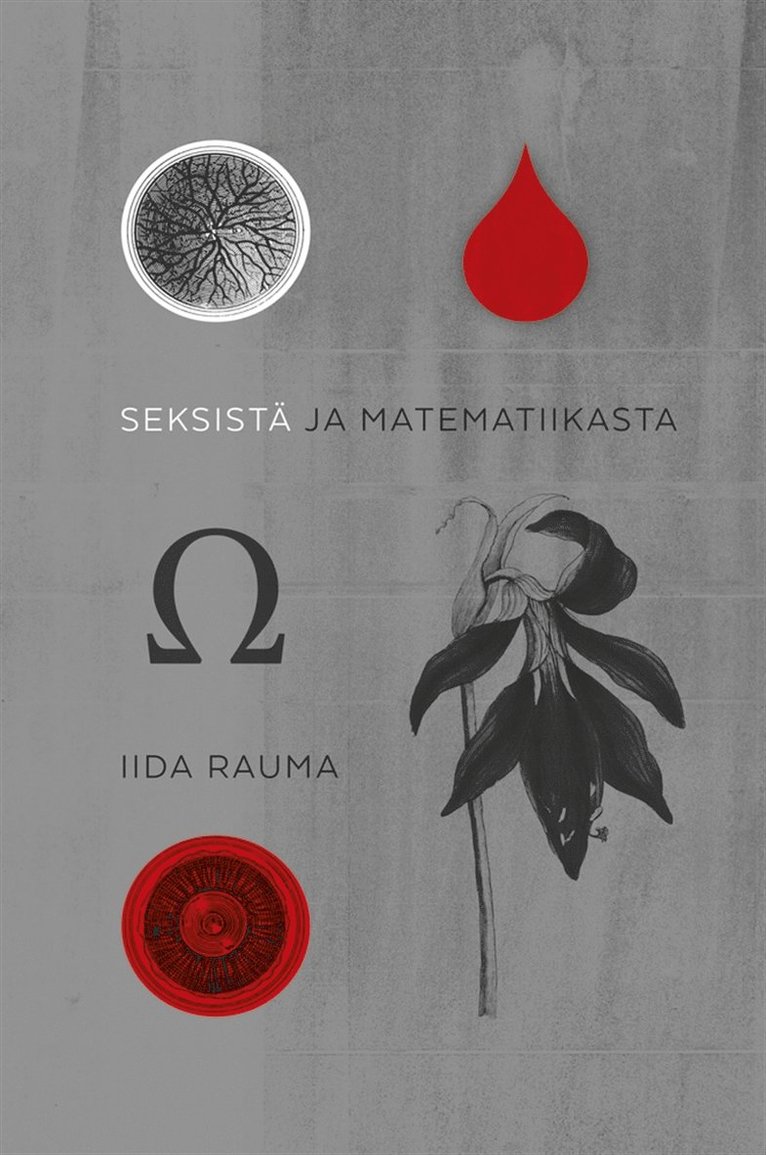 Iida Rauma - Seksistä ja matematiikasta, E-bok