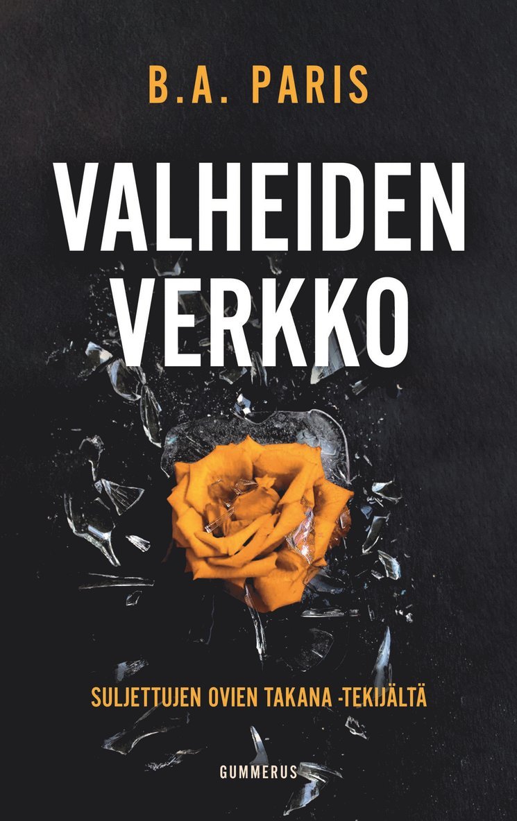 B. A. Paris - Valheiden verkko, E-bok