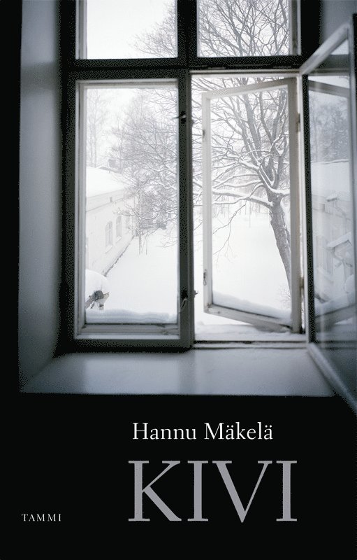 Hannu Mäkelä - Kivi, E-bok
