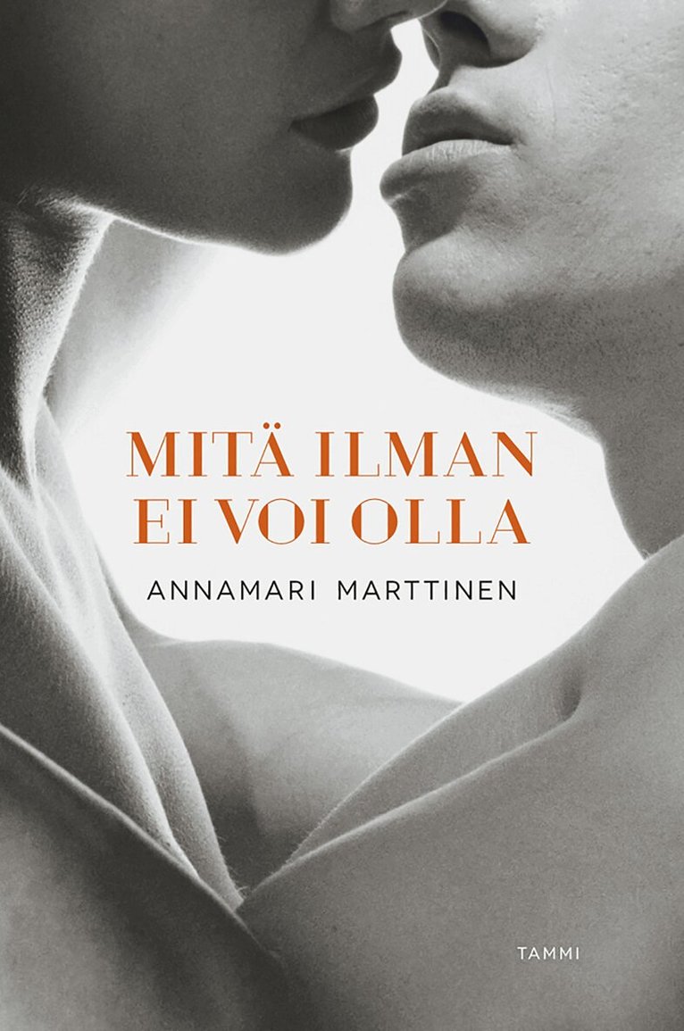 Annamari Marttinen - Mitä ilman ei voi olla, E-bok