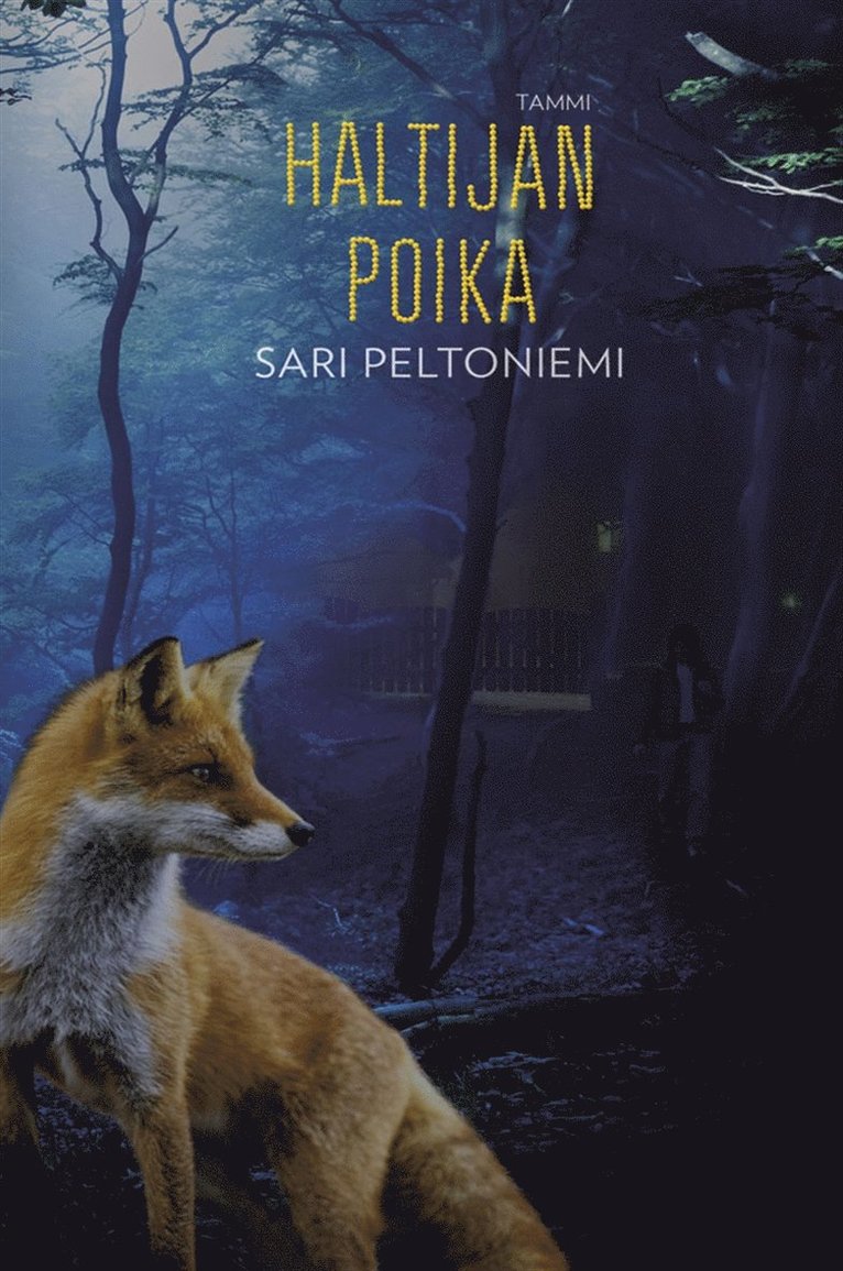 Sari Peltoniemi - Haltijan poika, E-bok