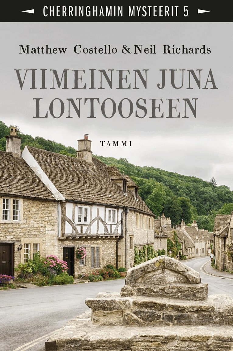 Neil Richards, Matthew Costello - Viimeinen juna Lontooseen, E-bok