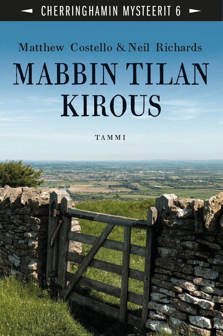 Neil Richards, Matthew Costello - Mabbin tilan kirous, E-bok