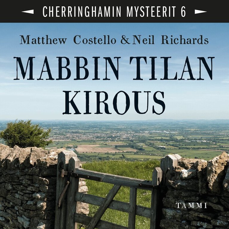 Neil Richards, Matthew Costello - Mabbin tilan kirous, Ljudbok