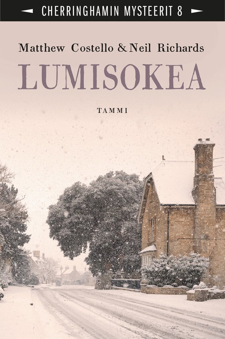 Neil Richards, Matthew Costello - Lumisokea, E-bok