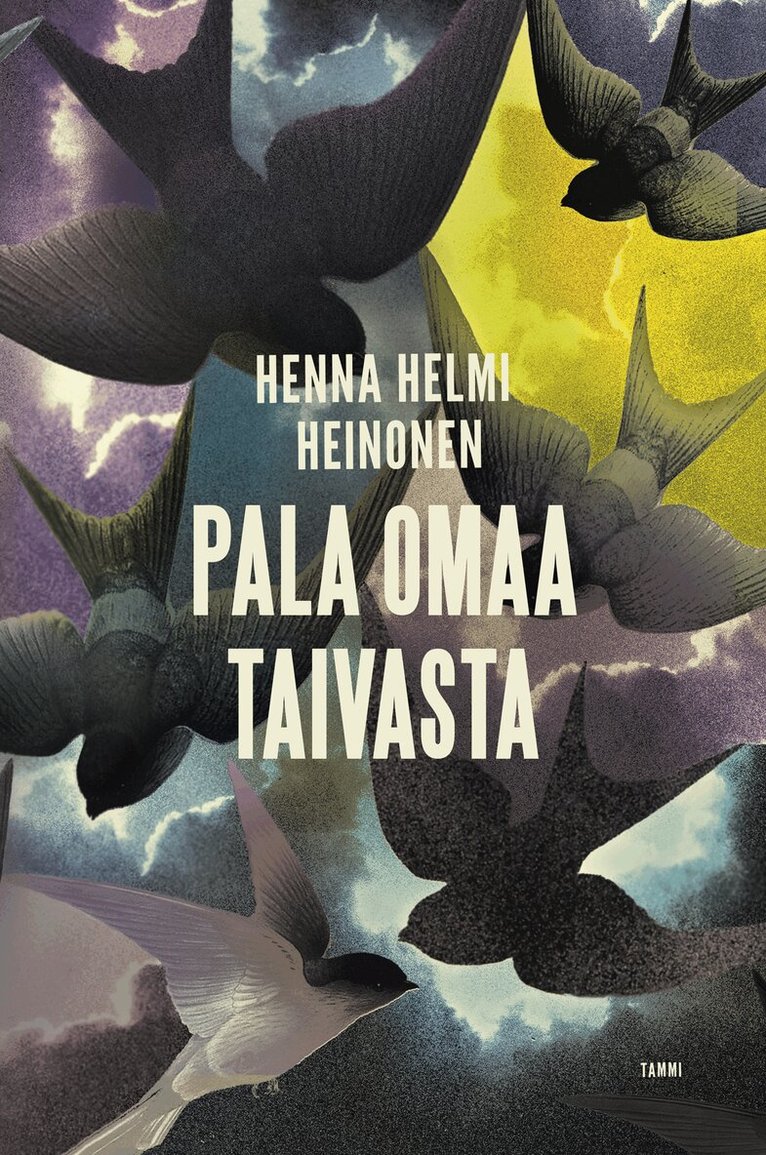 Henna Helmi Heinonen - Pala omaa taivasta, E-bok
