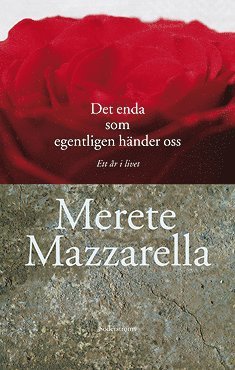 Merete Mazzarella - Det enda som egentligen händer oss, E-bok