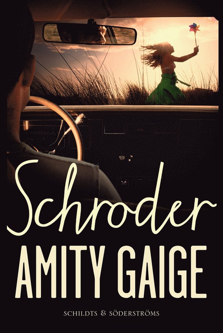 Amity Gaige - Schroder, E-bok