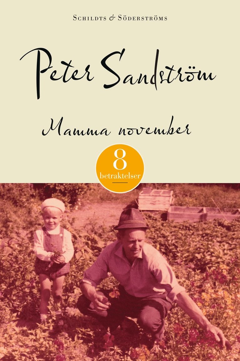 Peter Sandström - Mamma november, E-bok