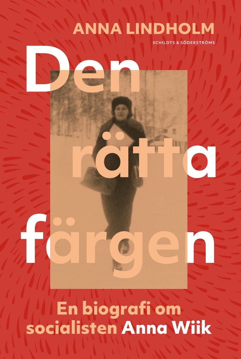 Anna Lindholm - Den rätta färgen, E-bok