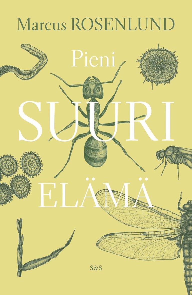 Marcus Rosenlund - Pieni suuri elämä, E-bok
