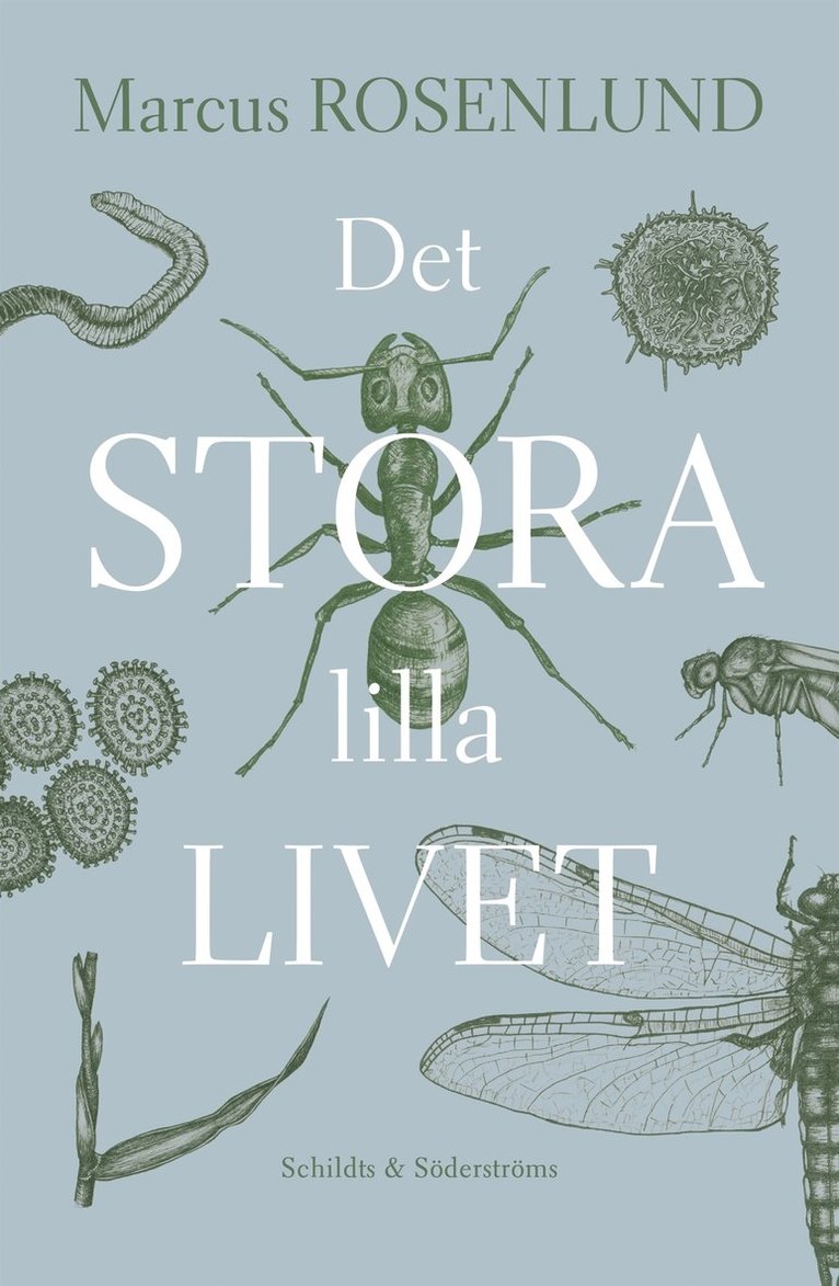 Marcus Rosenlund - Det stora lilla livet, E-bok