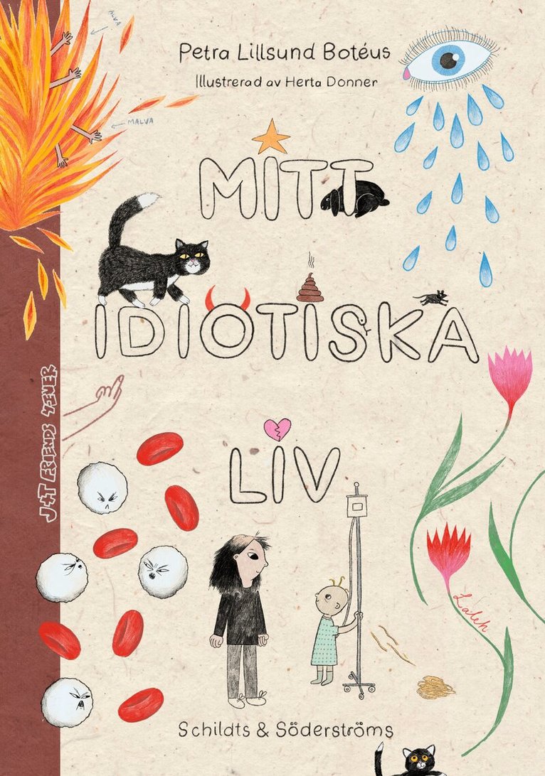 Petra Lillsund Botéus - Mitt idiotiska liv, E-bok