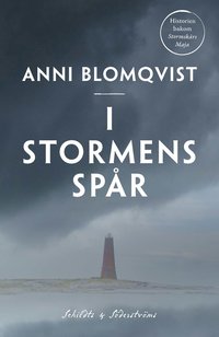 I stormens spr