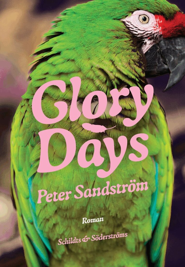 Peter Sandström - Glory Days, Inbunden