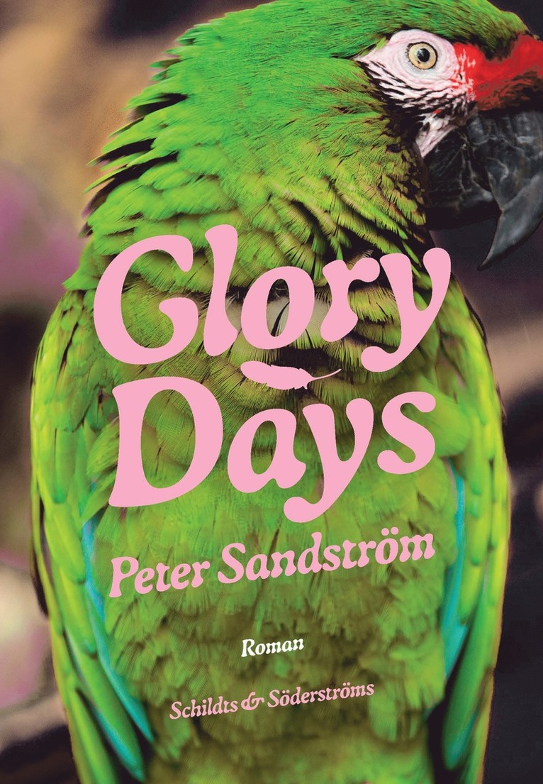 Peter Sandström - Glory Days, E-bok