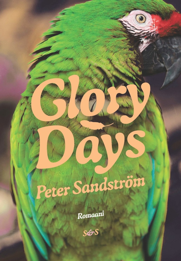 Peter Sandström - Glory Days, E-bok