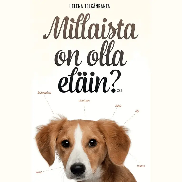 Helena Telkänranta - Millaista on olla eläin?, Ljudbok. Tillgänglighet: Lägg i varukorg