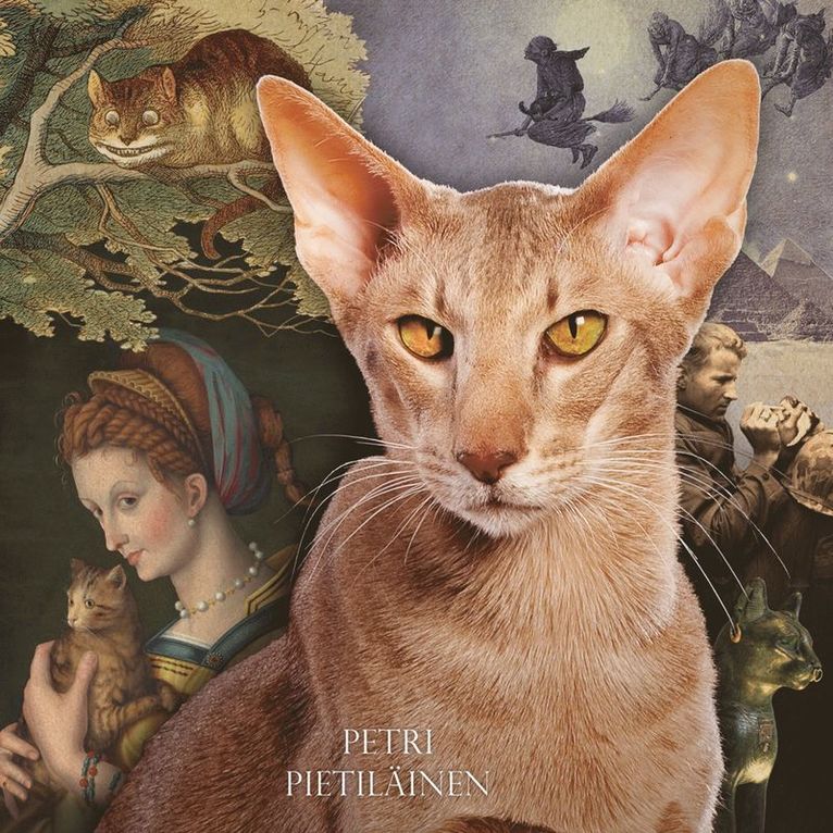 Petri Pietiläinen - Kissojen maailmanhistoria, Ljudbok