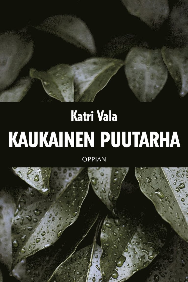 Katri Vala - Kaukainen puutarha, E-bok