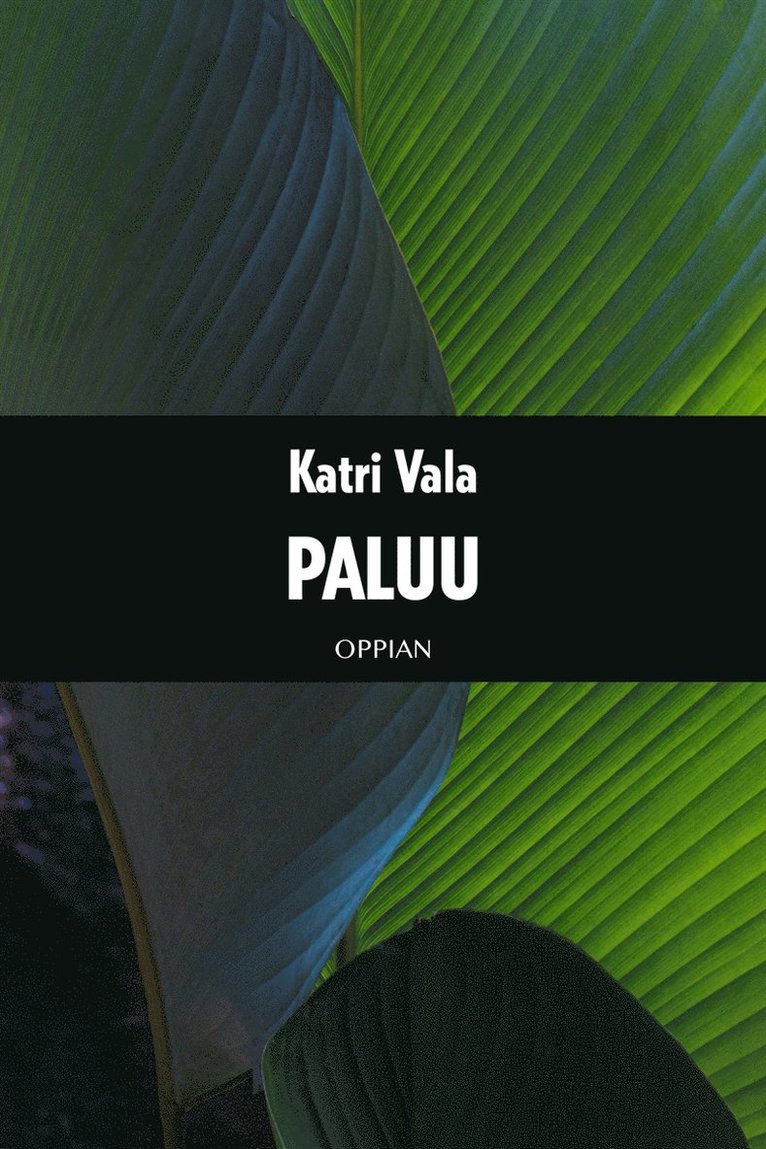 Katri Vala - Paluu, E-bok
