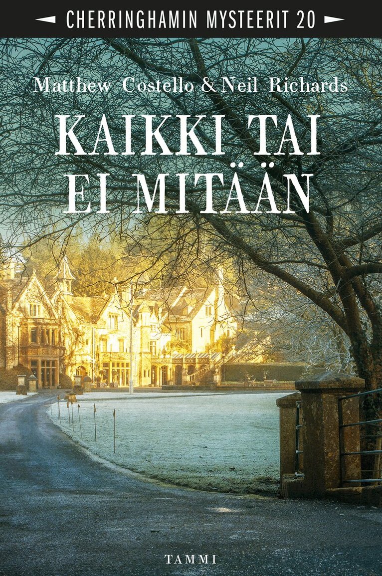 Neil Richards, Matthew Costello - Kaikki tai ei mitään, E-bok