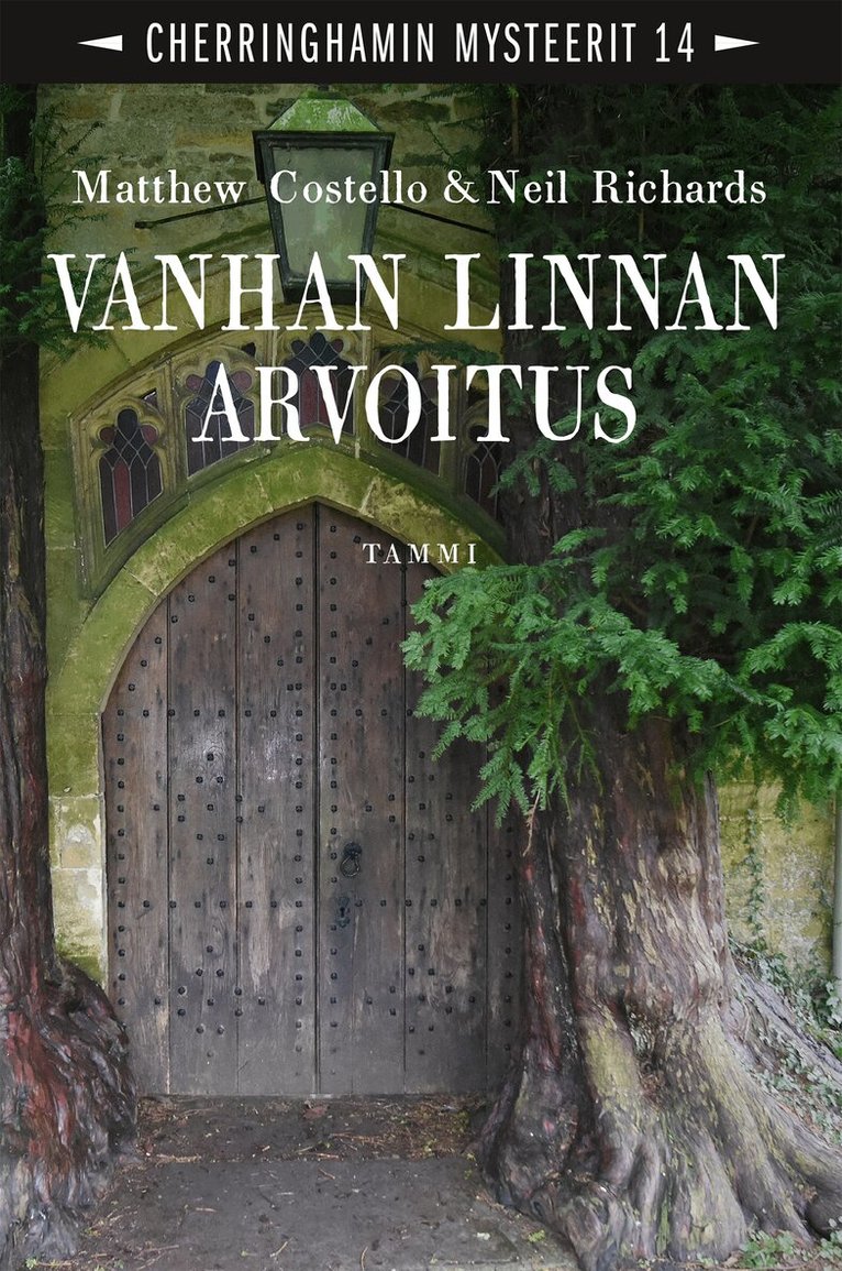 Neil Richards, Matthew Costello - Vanhan linnan arvoitus, E-bok
