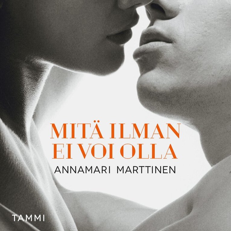 Annamari Marttinen - Mitä ilman ei voi olla, Ljudbok