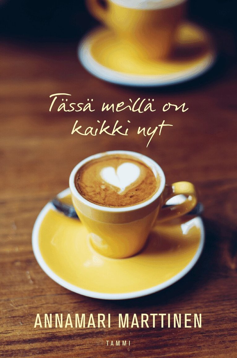 Annamari Marttinen - Tässä meillä on kaikki nyt, E-bok