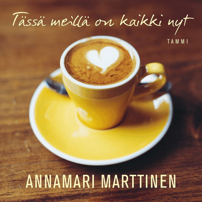 Annamari Marttinen - Tässä meillä on kaikki nyt, Ljudbok
