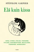 El kuin kissa