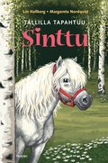 Tallilla tapahtuu, Sinttu